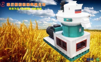 中國創(chuàng)新提速，綠色經(jīng)濟之離心高效環(huán)模顆粒機