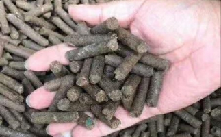 水果渣越來越受歡迎，因為它的出現(xiàn)—生物質(zhì)顆粒機設(shè)備