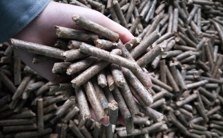 鋸末顆粒機(jī)顆粒，一種快速增長的能源載體