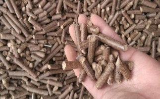 鋸末顆粒機生物質(zhì)燃料與燃煤對比情況如何？