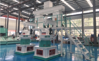 木屑顆粒機(jī)多少錢一臺?建顆粒廠大約多少錢？