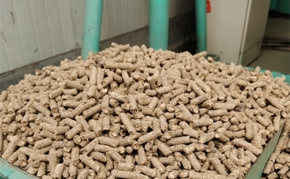 在燃燒時，水分大的生物質顆粒會出現(xiàn)哪些問題？