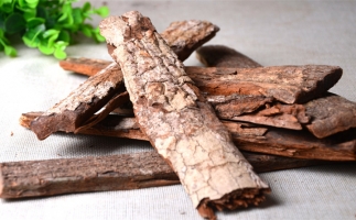 木材加工廠的廢棄物刨花能夠用來(lái)做什么？鋸末顆粒機(jī)告訴你