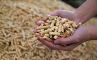 黟縣洪星鄉(xiāng)：“鋸末顆粒機(jī)的小顆?！睋Q來(lái)綠富雙贏