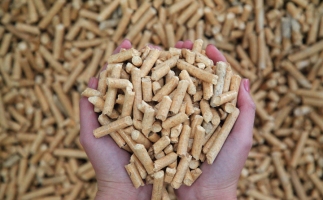 夏季儲存鋸末顆粒機(jī)生物質(zhì)顆粒的方法，要認(rèn)真看喲